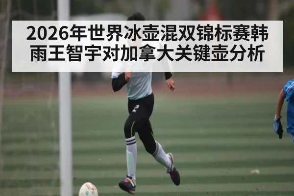 2026年世界冰壶混双锦标赛韩雨王智宇对加拿大关键壶分析